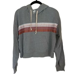 Vs Pink Gray Cropped Hoodie